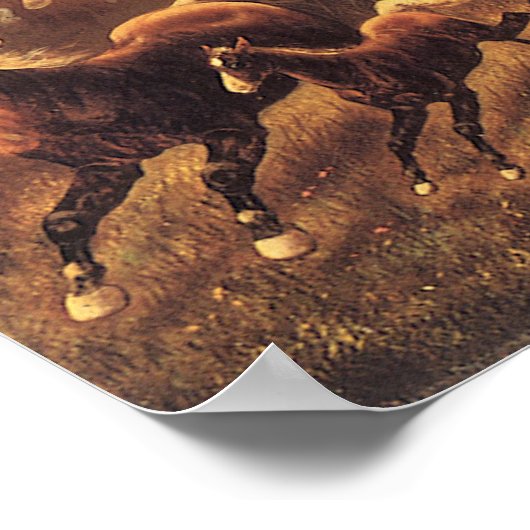 Roping Wild Horses von James Walker Poster (Ecke)