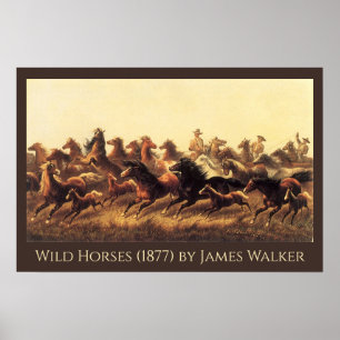 Roping Wild Horses von James Walker Poster