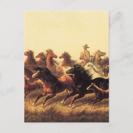 Roping Wild Horses von James Walker Postkarte (Vorderseite)