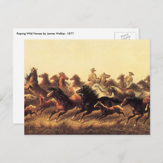 Roping Wild Horses von James Walker Postkarte (Vorne/Hinten)