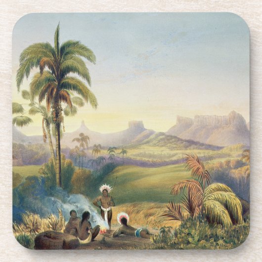 Roraima, eine bemerkenswerte Strecke der Untersetzer (Vorderseite)