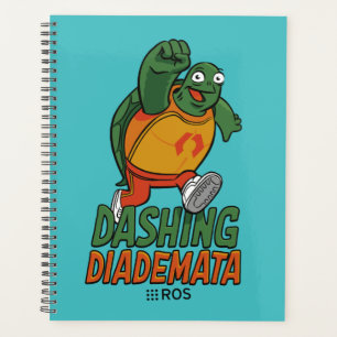 ROS 2 Dashing Diademata Planer