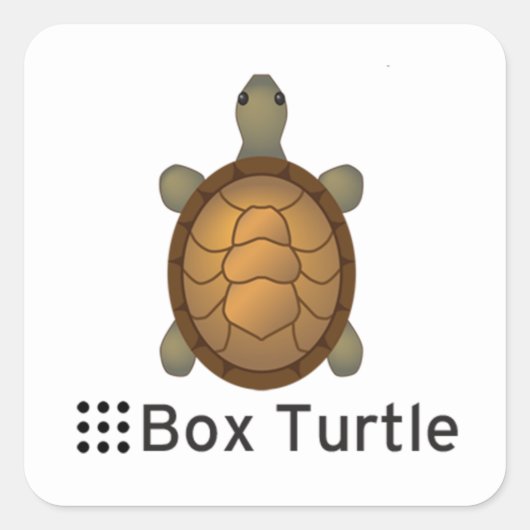 ROS Box Turtle Quadratischer Aufkleber (Vorderseite)