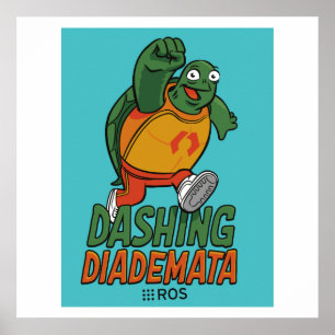 ROS Dashing Diademata Release Poster
