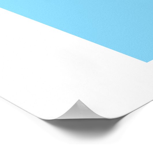 ROS Humble Hawksbill Poster (Ecke)