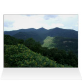 Rosa (Innenansicht Horizontal (Oben))