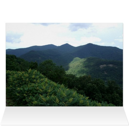 Rosa (Innenansicht Horizontal (Oben))