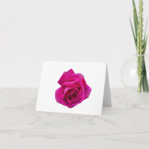 Rosa #5 gefaltete Grußkarte Karte