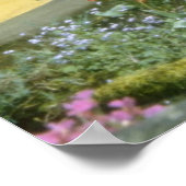 Rosa Adare, Limerick-Blume Poster (Ecke)