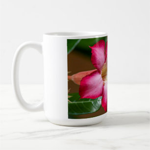 Rosa Adenium Obesum Blume alias Wüste Rose Kaffeetasse