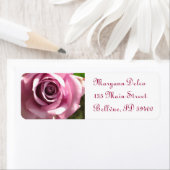 Rosa-Adressenaufschrift (Insitu)