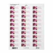 Rosa-Adressenaufschrift (Vorne)