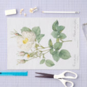 Rosa alba foliacea seidenpapier (Handwerk)