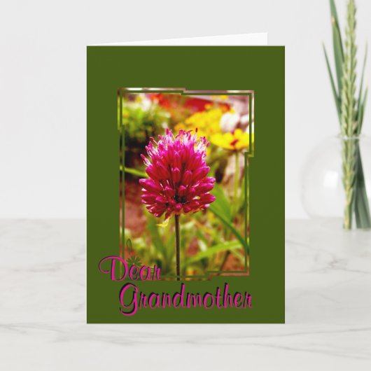 Rosa Allium Greeting Card 002 Karte (Vorderseite)
