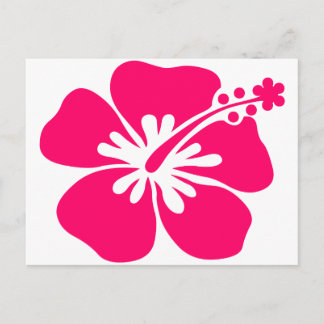Rosa-Aloha-Blume Postkarte