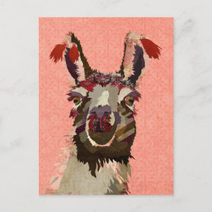 ROSA ALPACA Postkarte