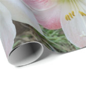 Rosa Amarylistin Geschenkpapier (Rolleneckpunkt)