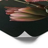 Rosa Amaryllis Blume Art Print Poster (Ecke)