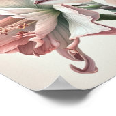 Rosa Amaryllis Blume Art Print Poster (Ecke)