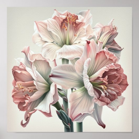 Rosa Amaryllis Blume Art Print Poster (Vorne)