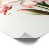 Rosa Amaryllis Blume Art Print Poster (Ecke)