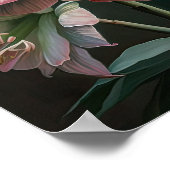 Rosa Amaryllis Blume Art Print Poster (Ecke)