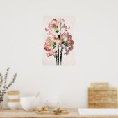 Rosa Amaryllis Blume Art Print Poster (Küche)