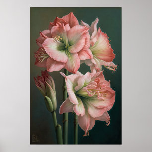 Rosa Amaryllis-Blumen-Kunstposter Poster