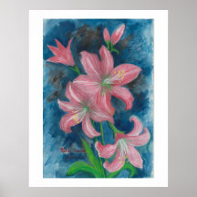 Rosa Amaryllis Poster