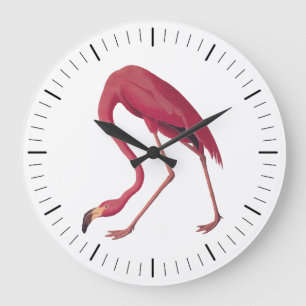 Rosa Amerikanischer Flamingo Audubon Vintage Art V Große Wanduhr