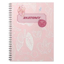 Rosa Anatomie Medizin Student Ästhetik Design