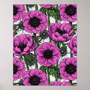 Rosa Anemone Poster