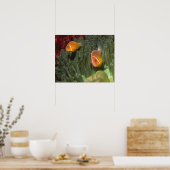 Rosa Anemonefische im Magnificant Sea Anemone Poster (Küche)