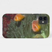 Rosa Anemonefish in der Magnificant Seeanemone Case-Mate iPhone Hülle (Rückseite (Horizontal))