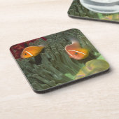 Rosa Anemonefish in der Magnificant Seeanemone Getränkeuntersetzer (Linke Seite)