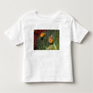 Rosa Anemonefish in der Magnificant Seeanemone Kleinkind T-shirt