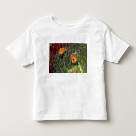 Rosa Anemonefish in der Magnificant Seeanemone Kleinkind T-shirt (Vorderseite)