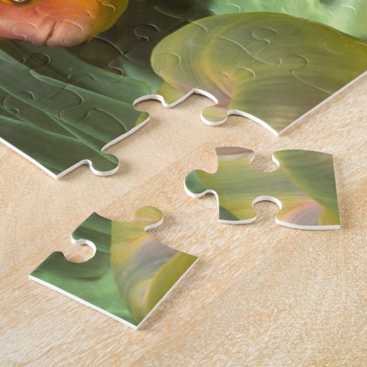 Rosa Anemonefish in der Magnificant Seeanemone Puzzle (Seite)