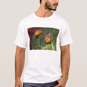 Rosa Anemonefish in der Magnificant Seeanemone T-Shirt
