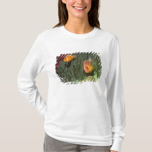 Rosa Anemonefish in der Magnificant Seeanemone T-Shirt