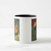 Rosa Anemonefish in der Magnificant Seeanemone Tasse (Zentrum)