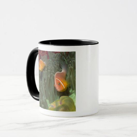 Rosa Anemonefish in der Magnificant Seeanemone Tasse (Vorderseite Links)