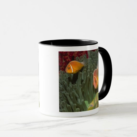 Rosa Anemonefish in der Magnificant Seeanemone Tasse (VorderseiteRechts)