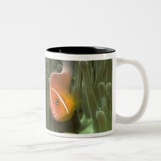 Rosa Anemonefish in der Magnificant Seeanemone Zweifarbige Tasse (Rechts)