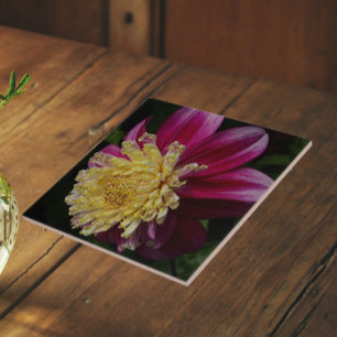 Rosa Anemonen-Dahlien-Blüten Floral Fliese