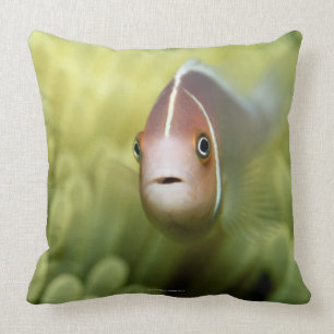 Rosa Anemonen-Fische Kissen
