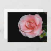 Rosa Ankündigung Postkarte (Vorne/Hinten)