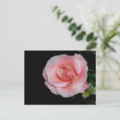 Rosa Ankündigung Postkarte (Stehend Vorderseite)