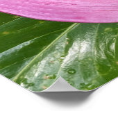 Rosa Anthurium Blüten und Blätter mit Blätter Poster (Ecke)