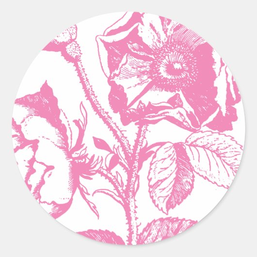 Rosa antike Rose Runder Aufkleber (Vorderseite)